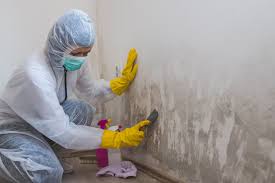 Biohazard Mold Removal in Wadley, GA